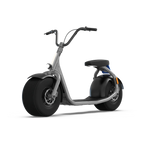 VoltRider™