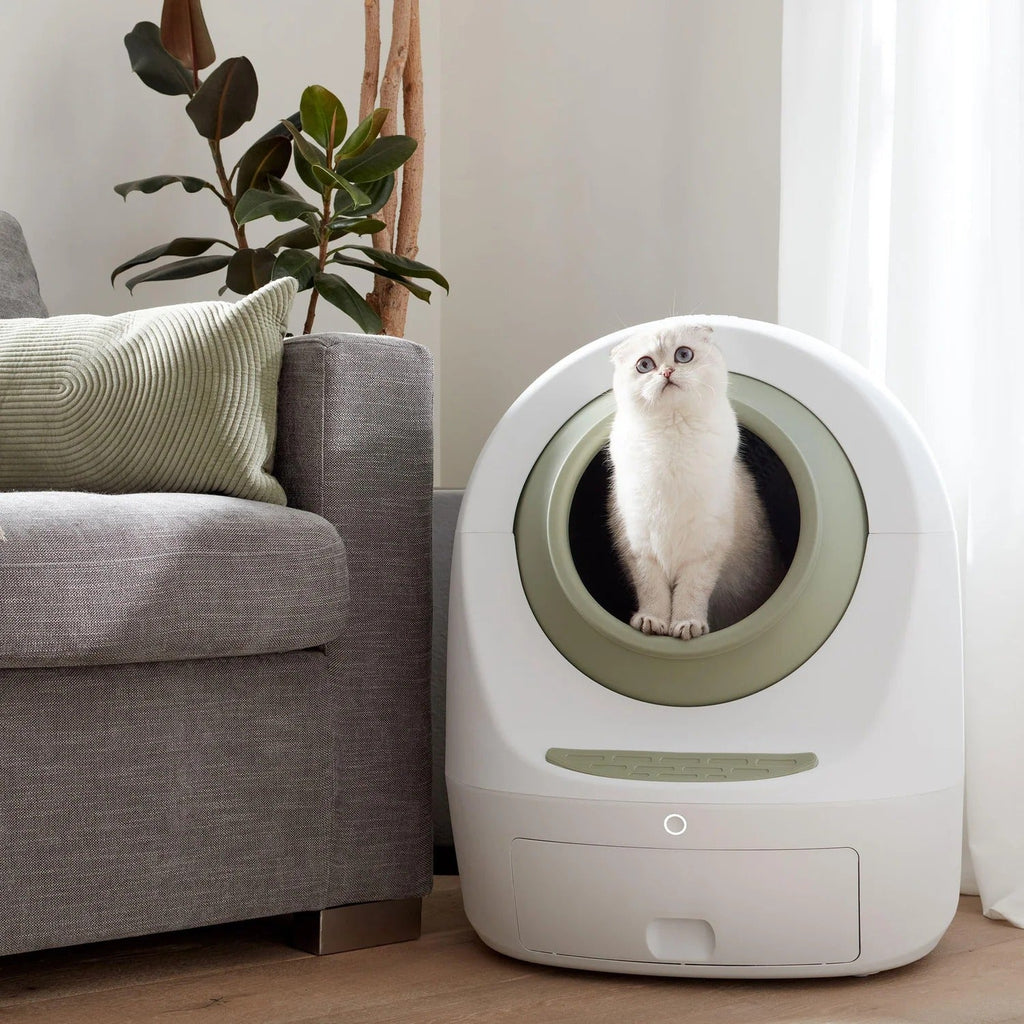 PurrNova™